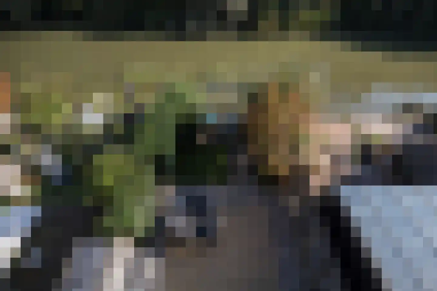 Simon Vestdijksingel 38 Arnhem thumbnail 58