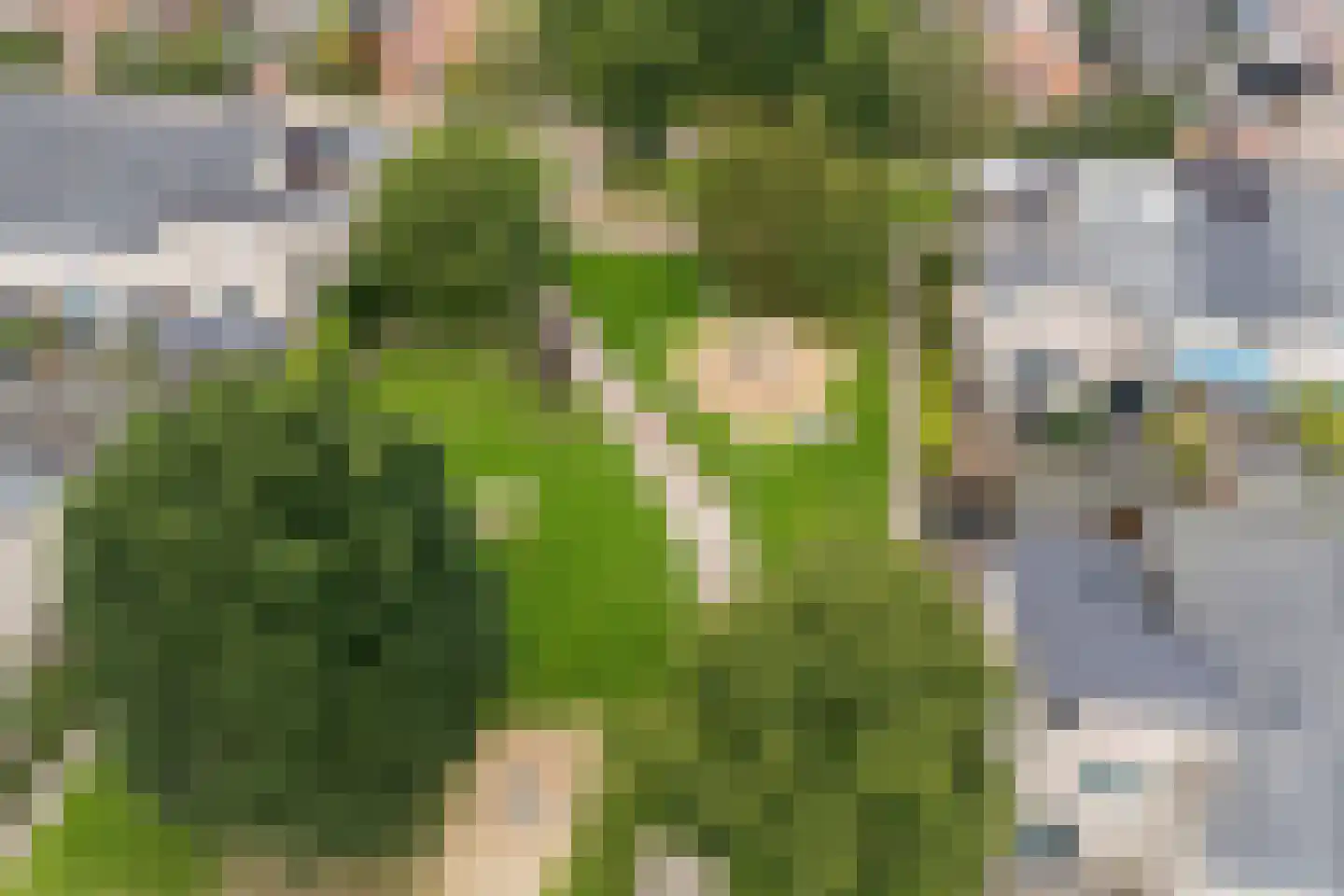 Simon Vestdijksingel 54 Arnhem thumbnail 39
