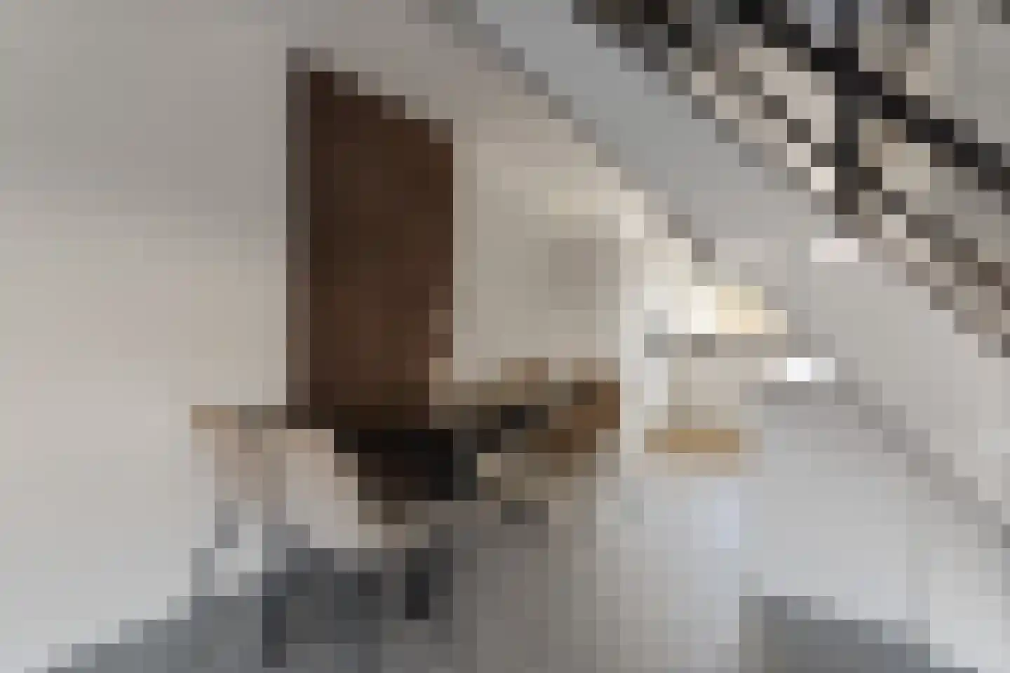 Simon Vestdijksingel 65 Arnhem thumbnail 8