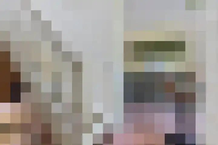 Simon Vestdijksingel 76 Arnhem thumbnail 10