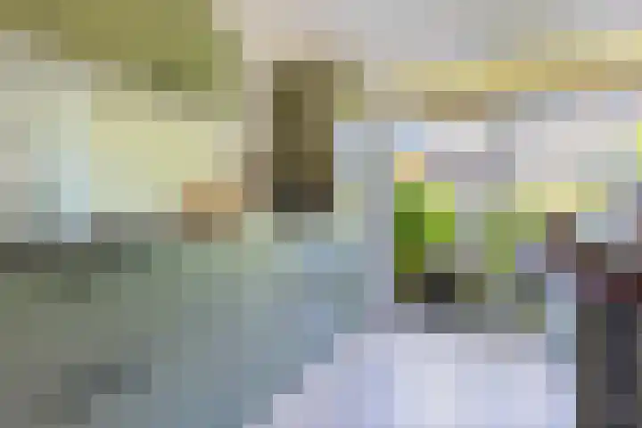 Simon Vestdijksingel 76 Arnhem thumbnail 12
