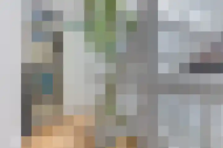 Simon Vestdijksingel 76 Arnhem thumbnail 16