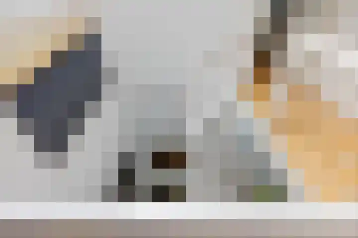 Simon Vestdijksingel 76 Arnhem thumbnail 25