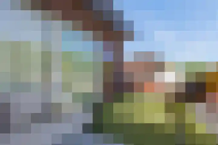 Simon Vestdijksingel 76 Arnhem thumbnail 29