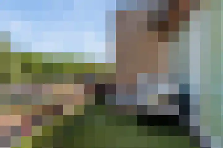 Simon Vestdijksingel 76 Arnhem thumbnail 32
