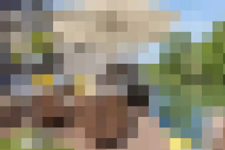 Simon Vestdijksingel 76 Arnhem thumbnail 34
