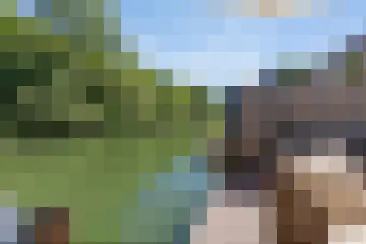 Simon Vestdijksingel 76 Arnhem thumbnail 37