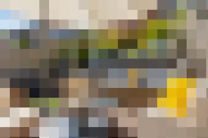 Simon Vestdijksingel 76 Arnhem thumbnail 38