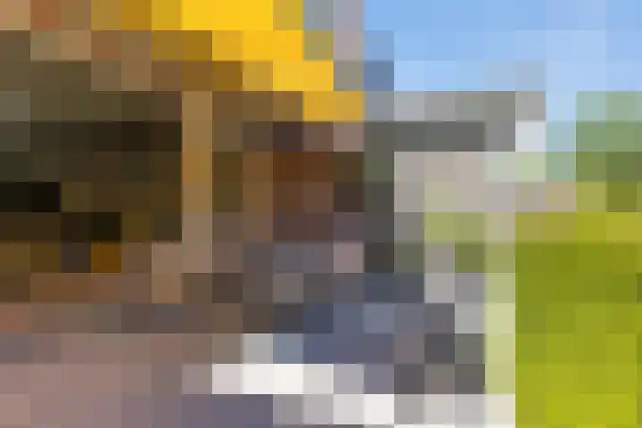 Simon Vestdijksingel 76 Arnhem thumbnail 40