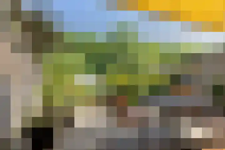 Simon Vestdijksingel 76 Arnhem thumbnail 42