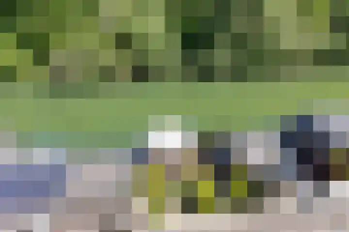 Simon Vestdijksingel 76 Arnhem thumbnail 43