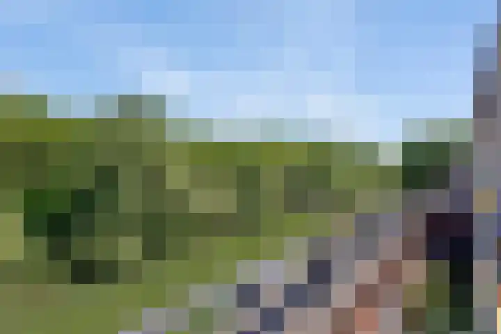 Simon Vestdijksingel 76 Arnhem thumbnail 44