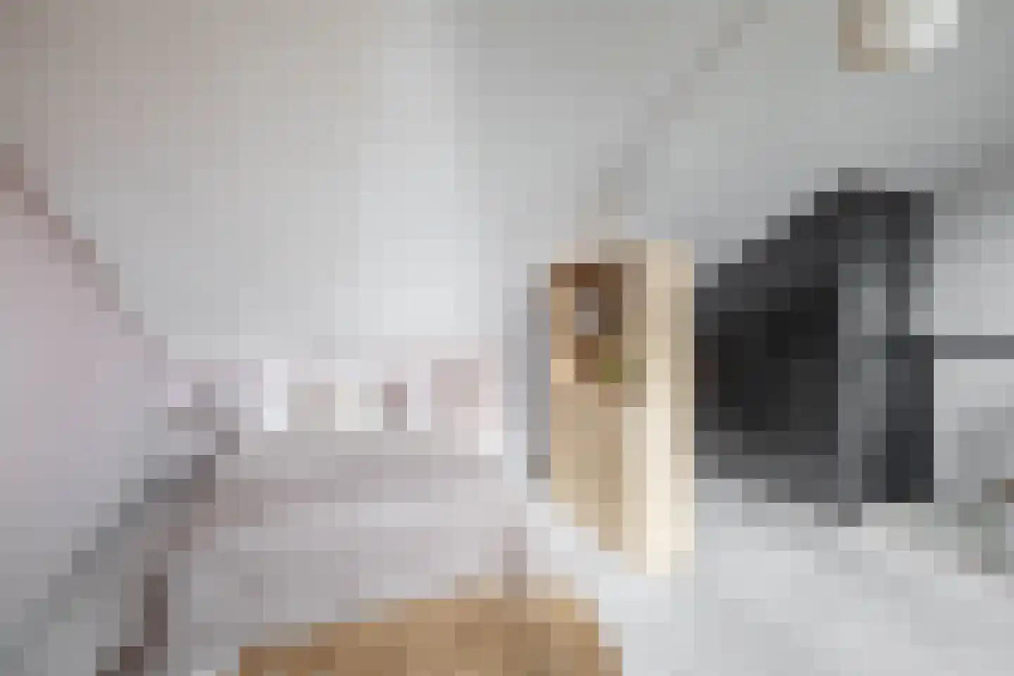 Simon Vestdijksingel 9 Arnhem thumbnail 31