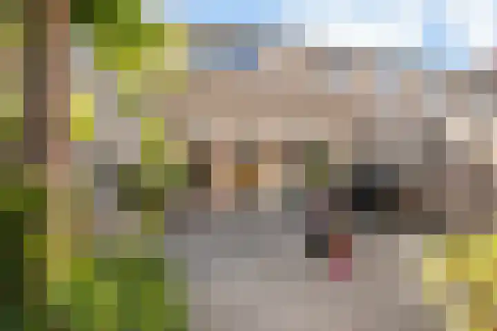 Simon Vestdijksingel 97 Arnhem thumbnail 30