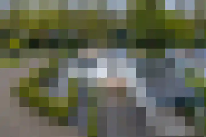 Simon Vestdijkstraat 1 Hengelo thumbnail 38