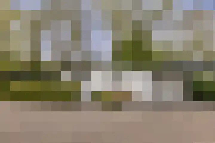 Simon Vestdijkstraat 1 Hengelo thumbnail 5