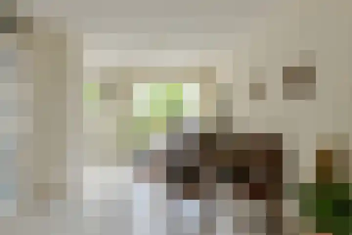 Simon Vestdijkstraat 10 Raamsdonksveer thumbnail 17