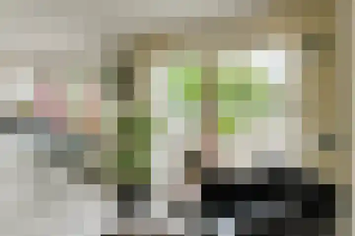 Simon Vestdijkstraat 10 Raamsdonksveer thumbnail 18