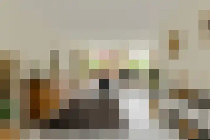 Simon Vestdijkstraat 10 Raamsdonksveer thumbnail 25