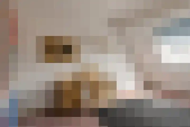 Simon Vestdijkstraat 10 Raamsdonksveer thumbnail 35