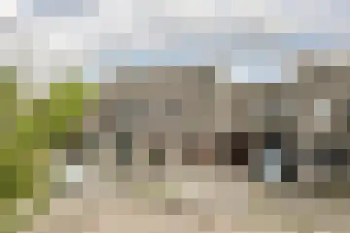 Simon Vestdijkstraat 10 Raamsdonksveer thumbnail 6