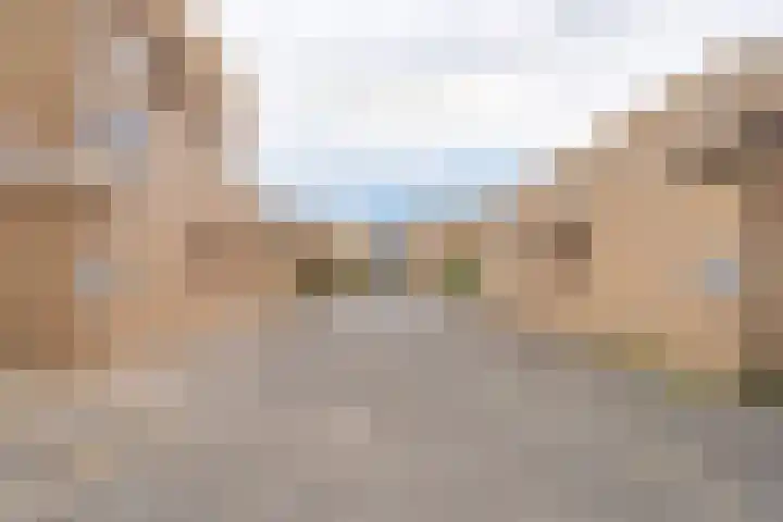 Simon Vestdijkstraat 20 Duiven thumbnail 5