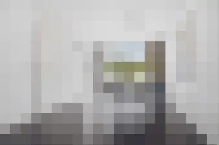 Simon Vestdijkstraat 21 Raamsdonksveer thumbnail 10