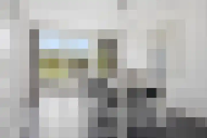 Simon Vestdijkstraat 21 Raamsdonksveer thumbnail 14