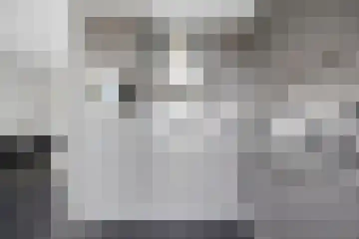 Simon Vestdijkstraat 21 Raamsdonksveer thumbnail 17
