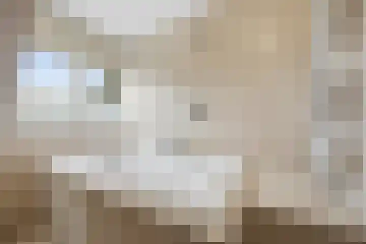Simon Vestdijkstraat 21 Raamsdonksveer thumbnail 21