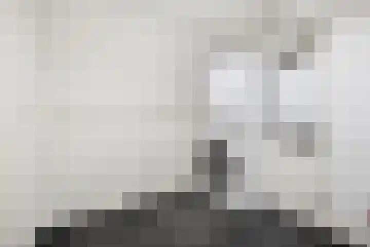 Simon Vestdijkstraat 21 Raamsdonksveer thumbnail 31