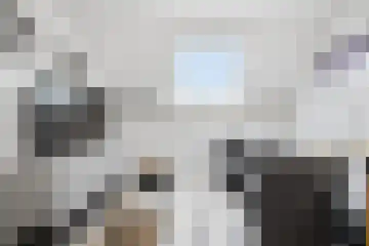 Simon Vestdijkstraat 21 Raamsdonksveer thumbnail 33