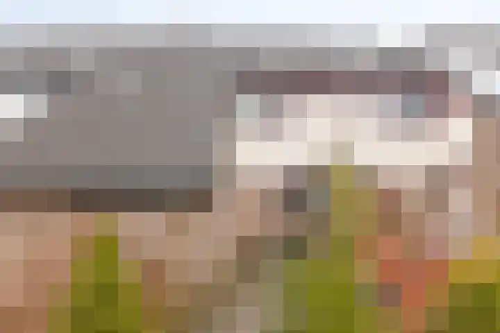 Simon Vestdijkstraat 25 Hengelo thumbnail 5