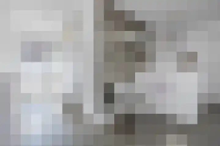 Simon Vestdijkstraat 33 Raamsdonksveer thumbnail 35