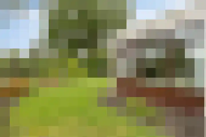 Simon Vestdijkstraat 4 Hengelo thumbnail 34