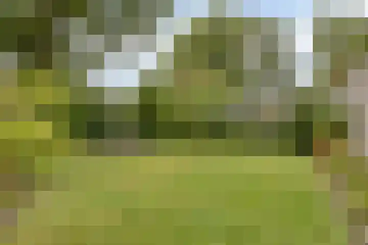 Simon Vestdijkstraat 4 Hengelo thumbnail 35
