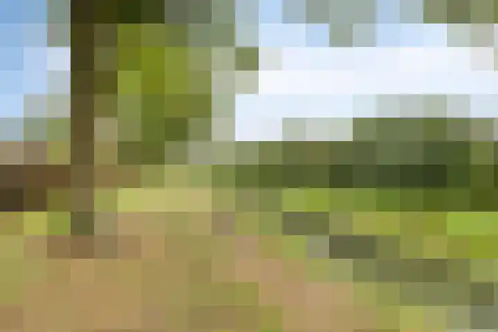 Simon Vestdijkstraat 4 Hengelo thumbnail 39