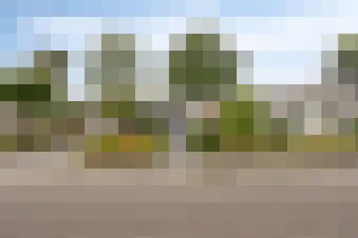Simon Vestdijkstraat 4 Hengelo thumbnail 9