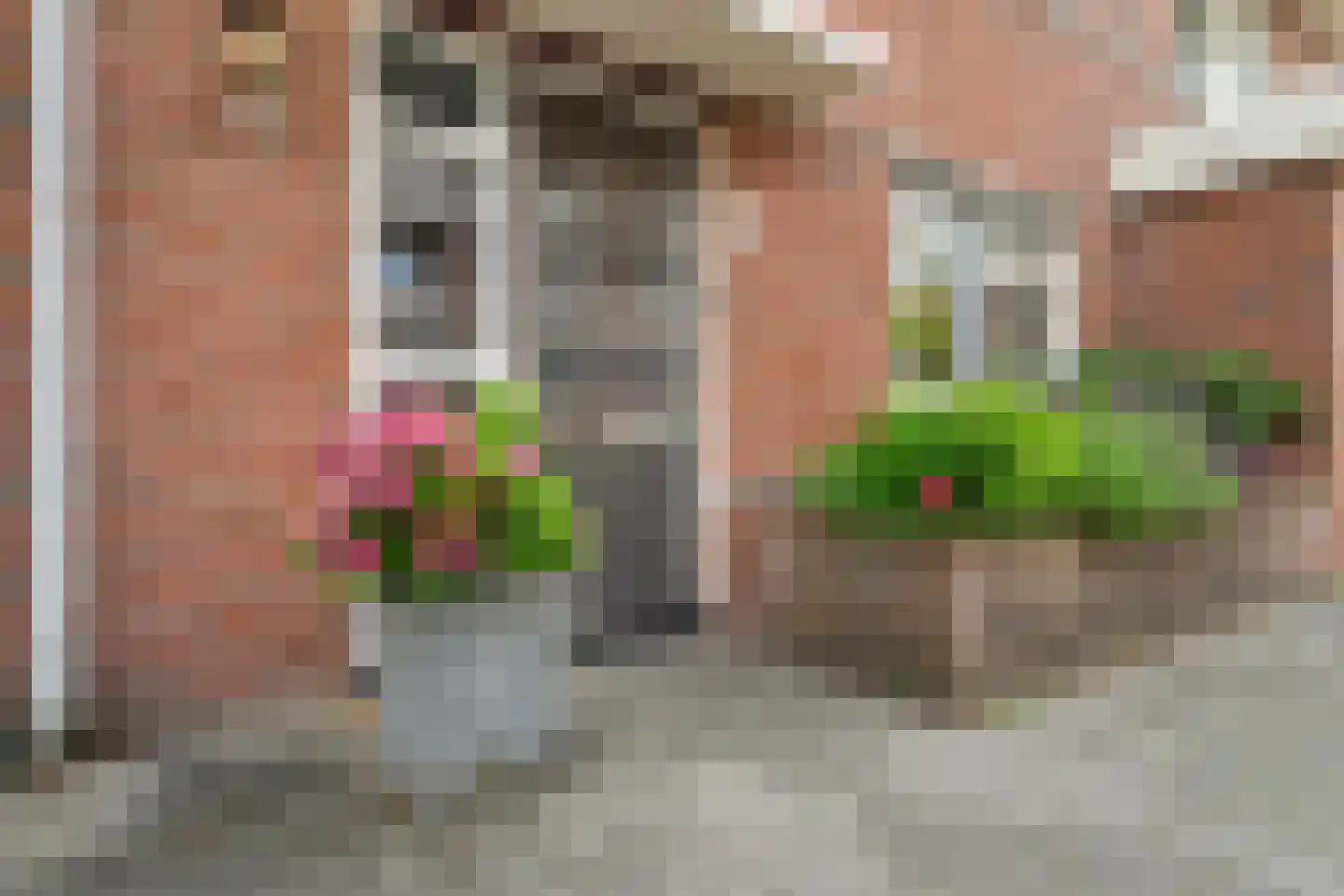 Simon Vestdijkstraat 50 Harderwijk thumbnail 4