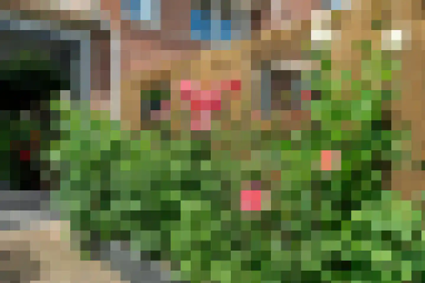 Simon Vestdijkstraat 50 Harderwijk thumbnail 41