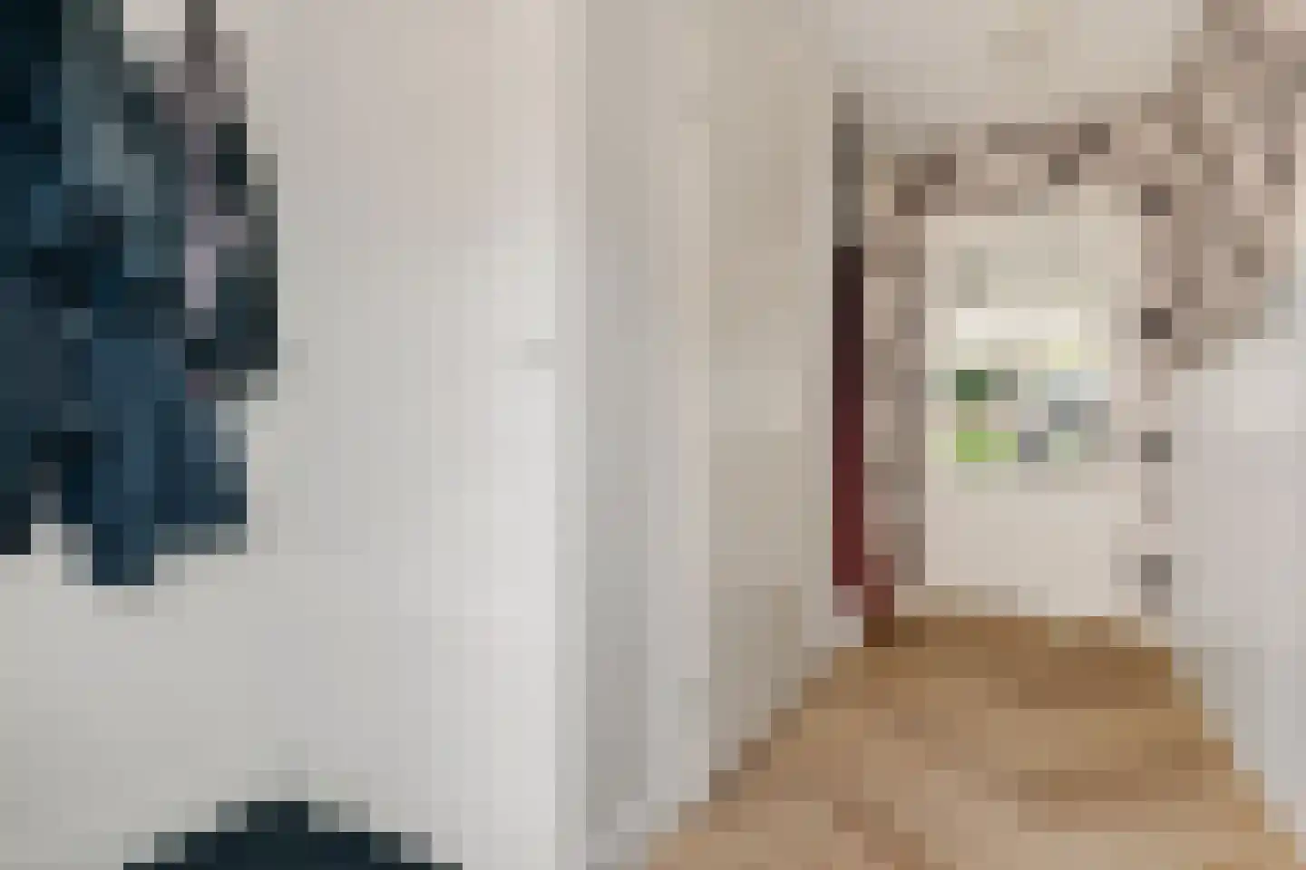 Simon Vestdijkstraat 50 Harderwijk thumbnail 6
