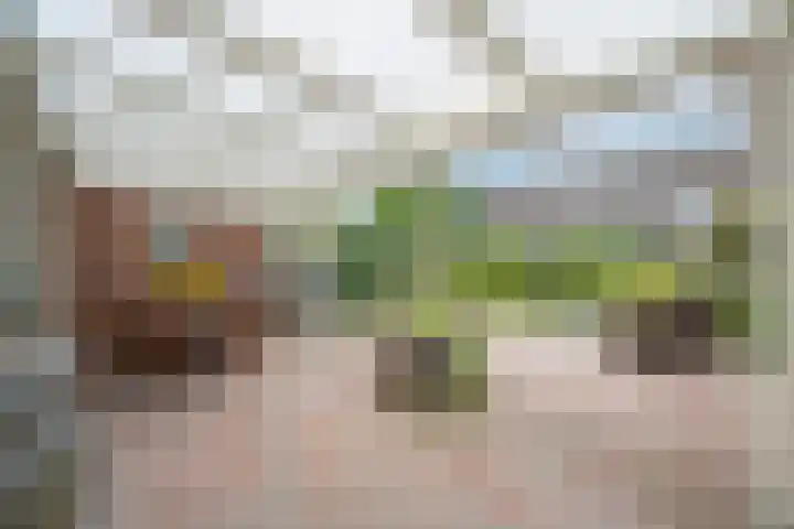 Simon Vestdijkstraat 55 Tiel thumbnail 34