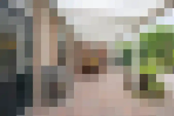 Simon Vestdijkstraat 55 Tiel thumbnail 37