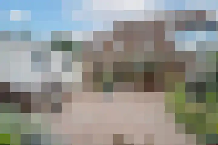 Simon Vestdijkstraat 55 Tiel thumbnail 41
