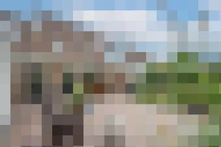 Simon Vestdijkstraat 55 Tiel thumbnail 43