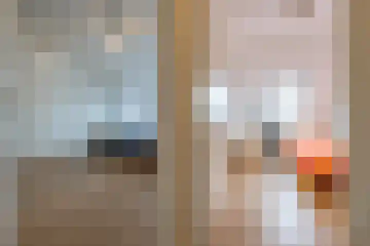 Simon Vestdijkstraat 55 Tiel thumbnail 46