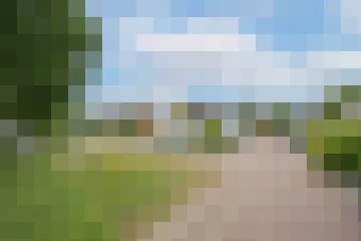 Simon Vestdijkstraat 55 Tiel thumbnail 5