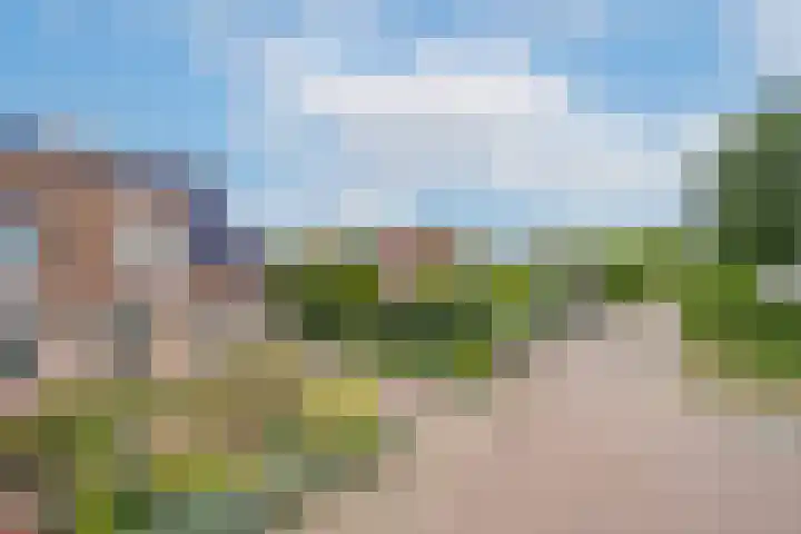 Simon Vestdijkstraat 55 Tiel thumbnail 6