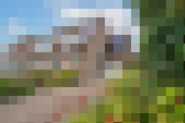 Simon Vestdijkstraat 55 Tiel thumbnail 8