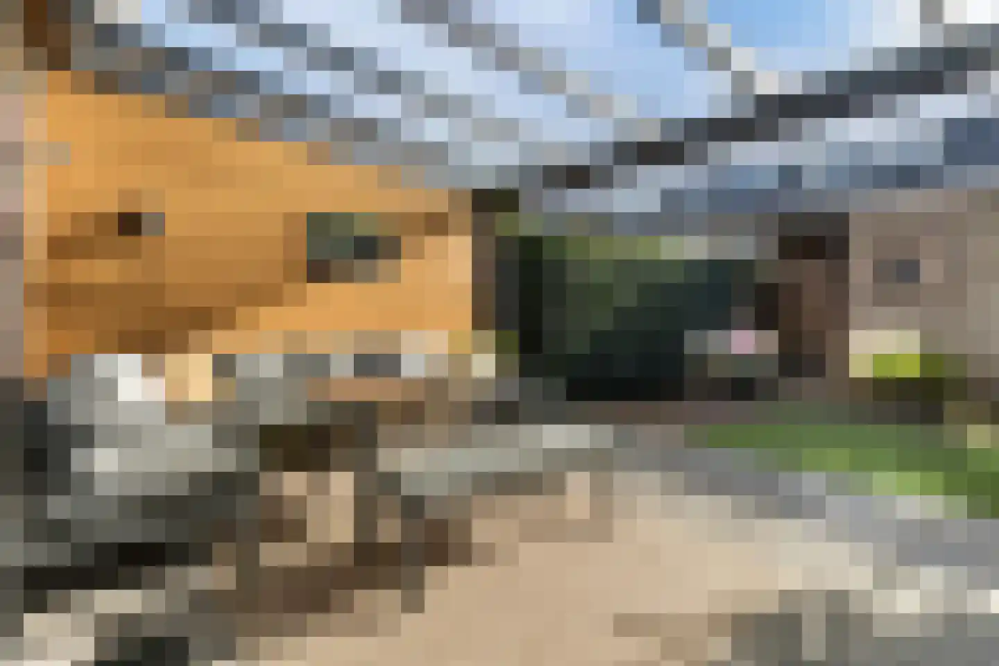 Simon Vestdijkstraat 6 Harderwijk thumbnail 41